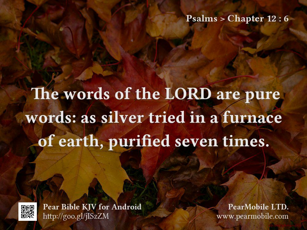 Psalms, Chapter 12:6